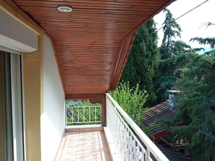 วิวถึงภูเขาโอลิมปิกจากระเบียงด้านหลังชั้น 1