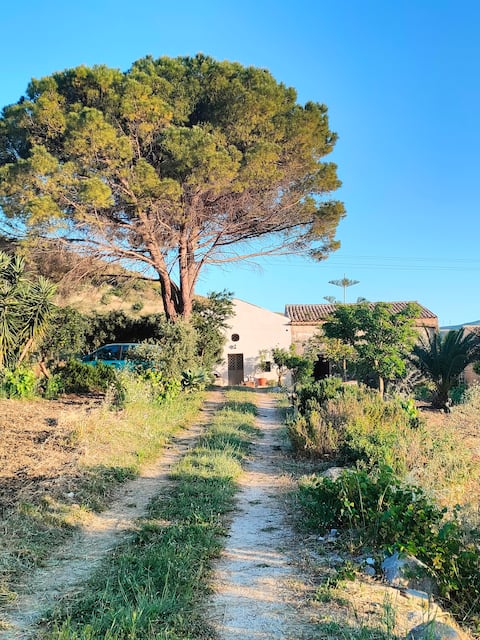 Airbnb con migliori performance: Little contry house near the sea - Scopello a Castellammare Del Golfo