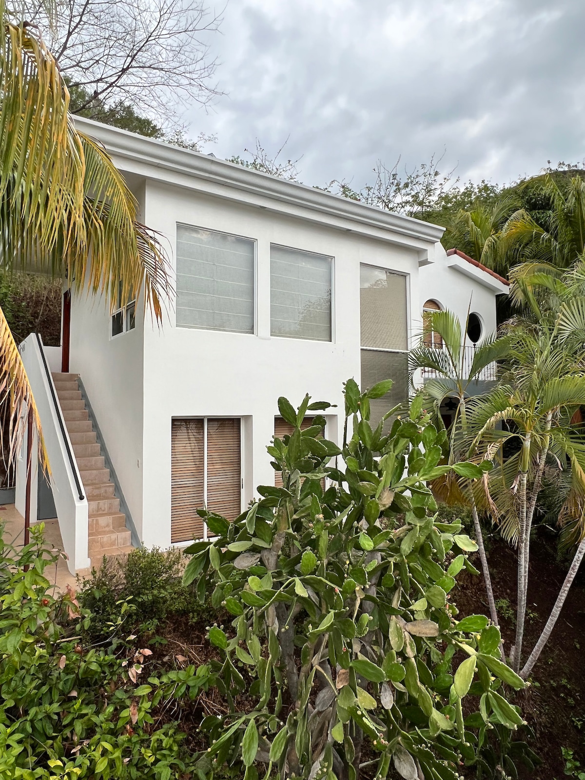 The house is situated amidst lush greenery, showcasing a modern design with large windows and an inviting staircase. The exterior features a combination of white walls and terracotta roof tiles, blending harmoniously with the surrounding tropical environment.
