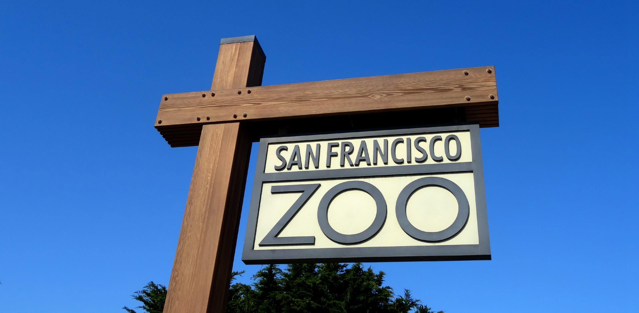 Home in San Francisco · ★4.84 · 2 bedrooms · 2 beds · 1 bath - Image 35