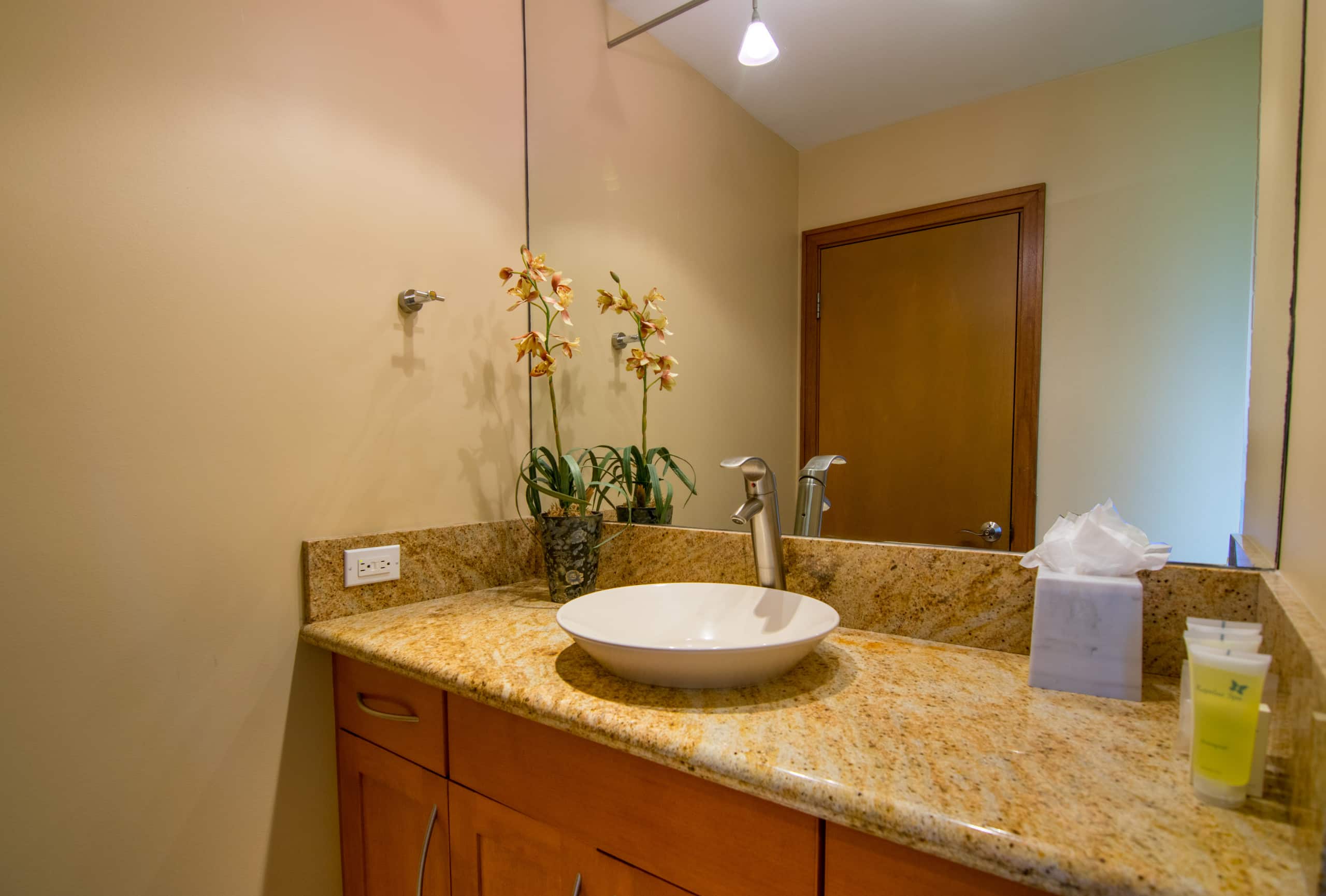 Kapalua Ridge Villas Gold Ocean View 2BD/3BA - Image 12