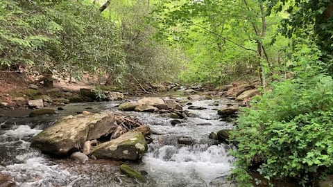 Treetop Montreat Cabin w/Creek-20 min to Asheville