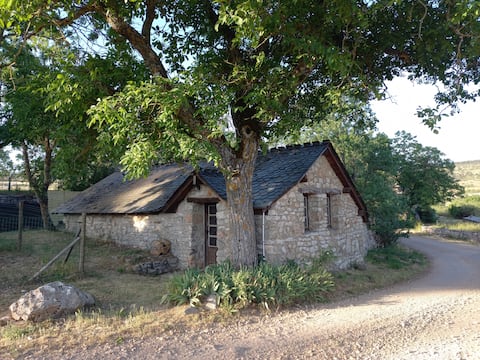 Causse Maisonette – Gorges du Tarn