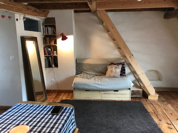 Duplex Plein De Charme Proche De La Cathédrale - Estrasburgo
