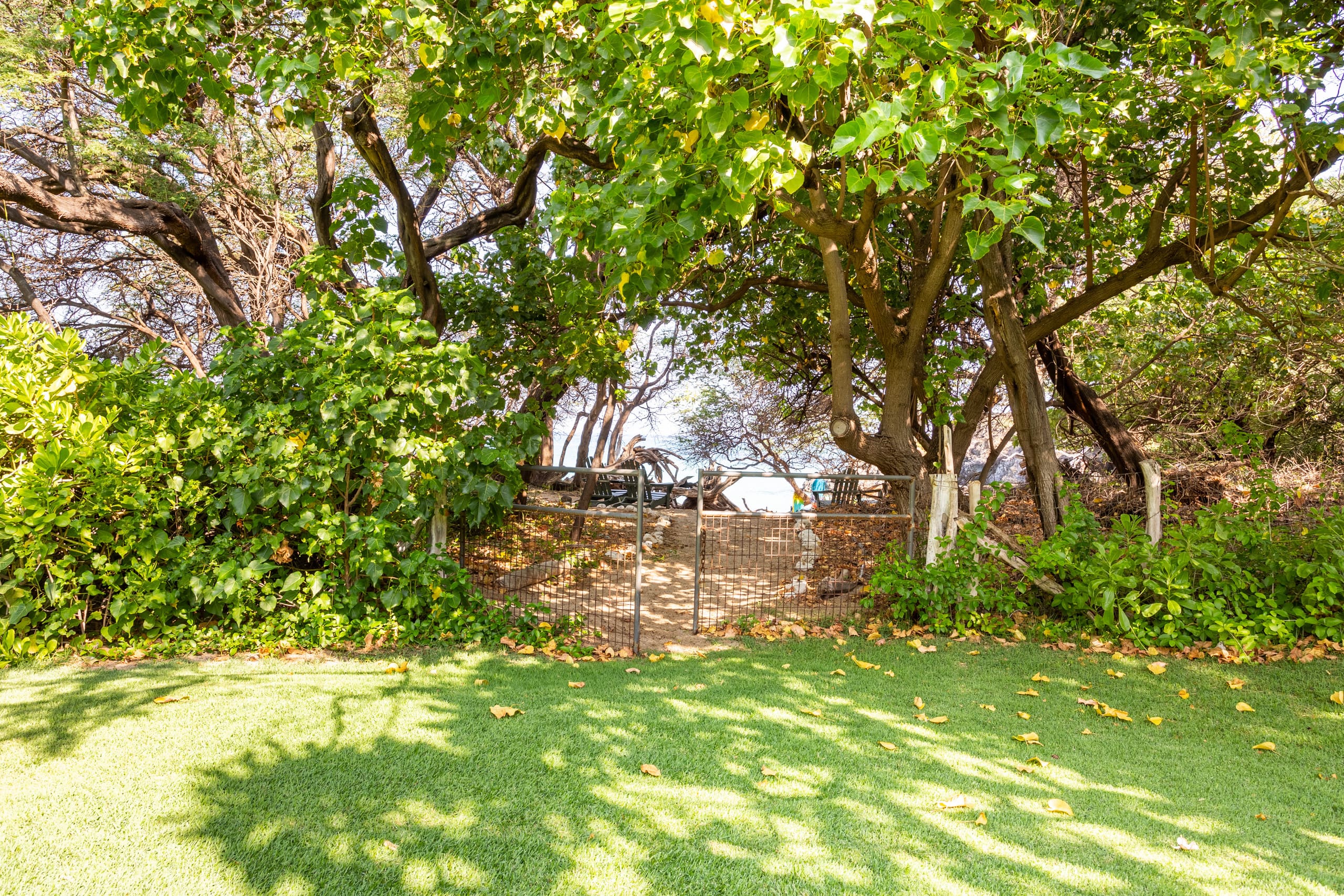 Home in Waimea · ★5.0 · 4 bedrooms · 6 beds · 4 baths - Image 59