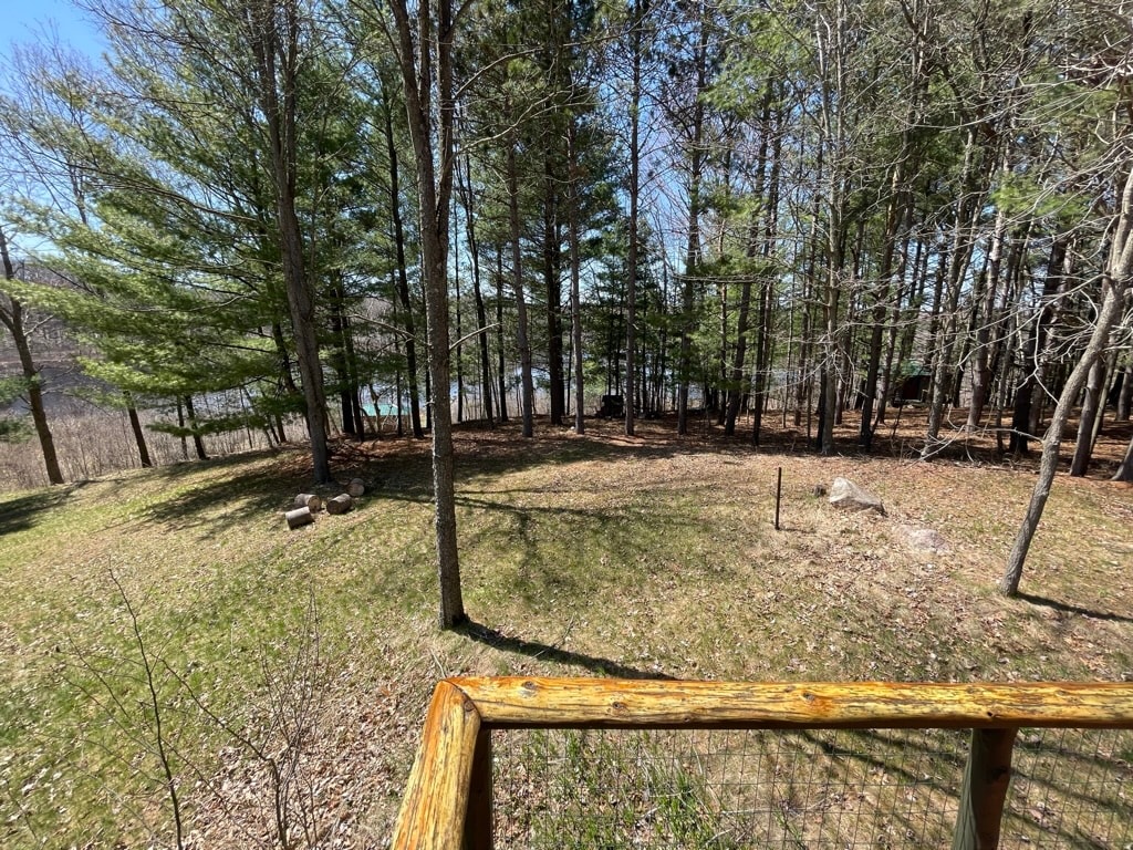 A serene view of a wooded area is presented, featuring various trees and a patch of grass. A glimpse of the lake is visible through the trees in the background. Natural elements create a peaceful atmosphere, suitable for relaxation and reflection.