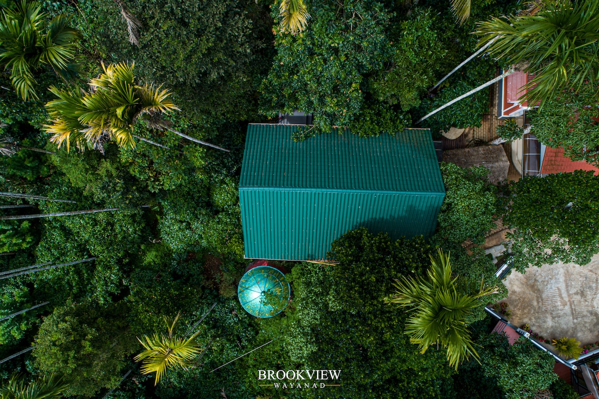 An aerial view captures the green metal roof of the cottage, surrounded by lush greenery and tall palm trees. The vibrant foliage enhances the sense of seclusion and connection to nature, emphasizing the serene environment of the property.