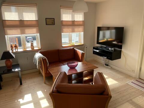 Spacy city center apartment