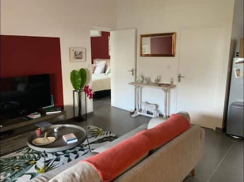 Popular Airbnb listing: Small modern detached house in Saint Denis