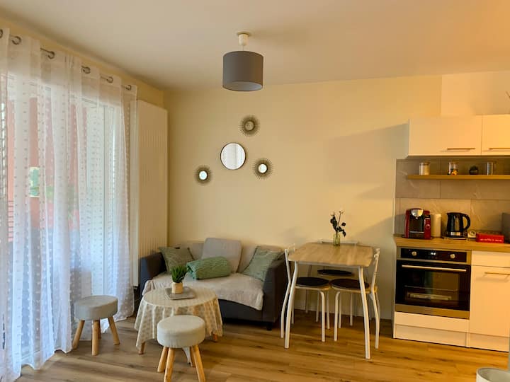 Le Minéral 3* Face Aux Thermes Et Parking Privé - Thonon-les-Bains