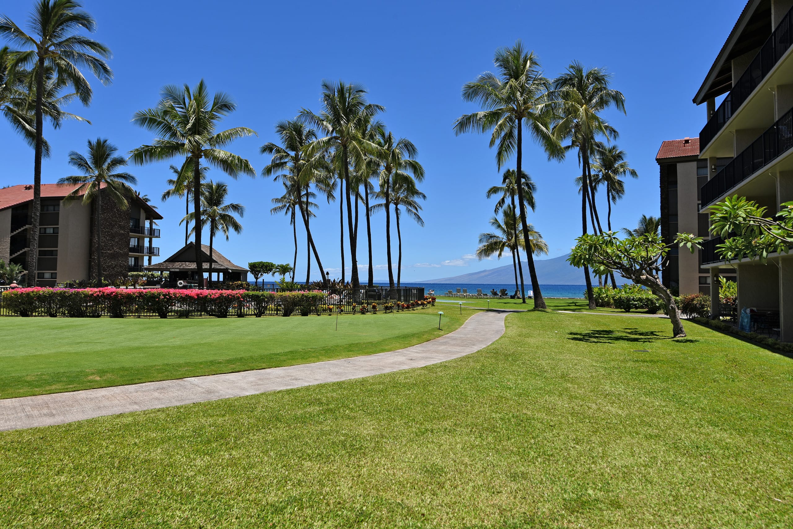 Condo in Lahaina · ★4.97 · 1 bedroom · 2 beds · 1 bath - Image 78