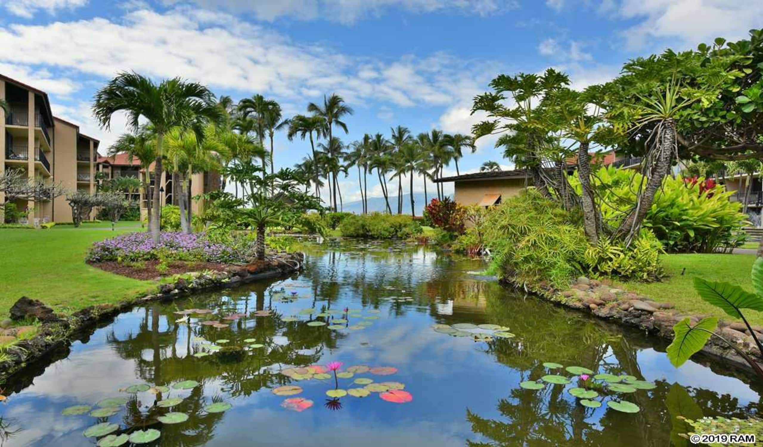 Condo in Lahaina · ★4.97 · 1 bedroom · 2 beds · 1 bath - Image 18
