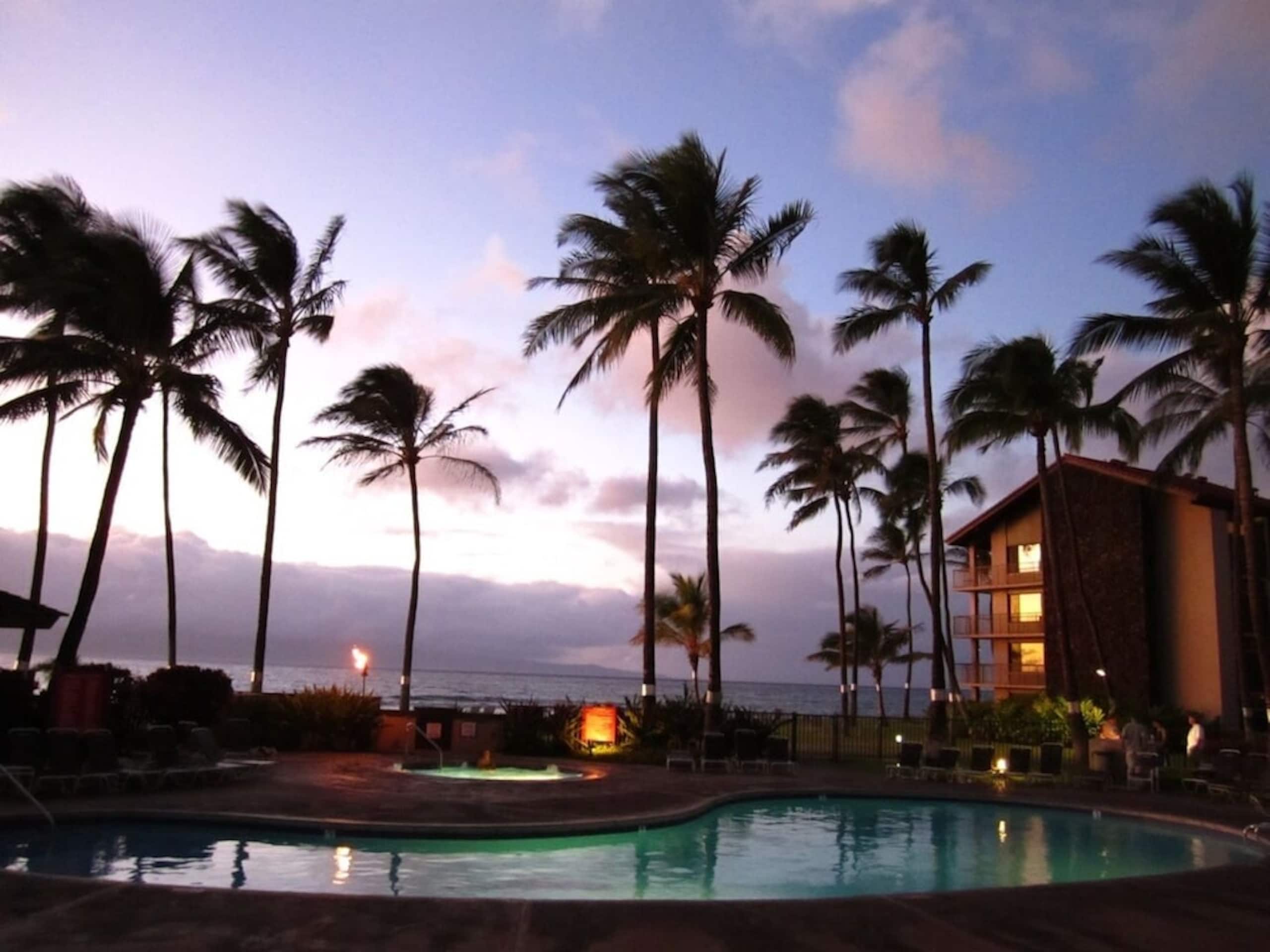 Condo in Lahaina · ★4.97 · 1 bedroom · 2 beds · 1 bath - Image 22