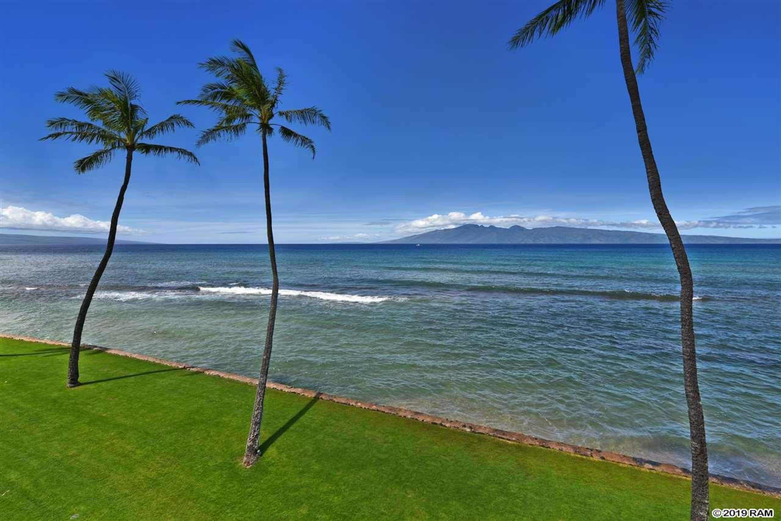 Condo in Lahaina · ★4.97 · 1 bedroom · 2 beds · 1 bath - Image 16