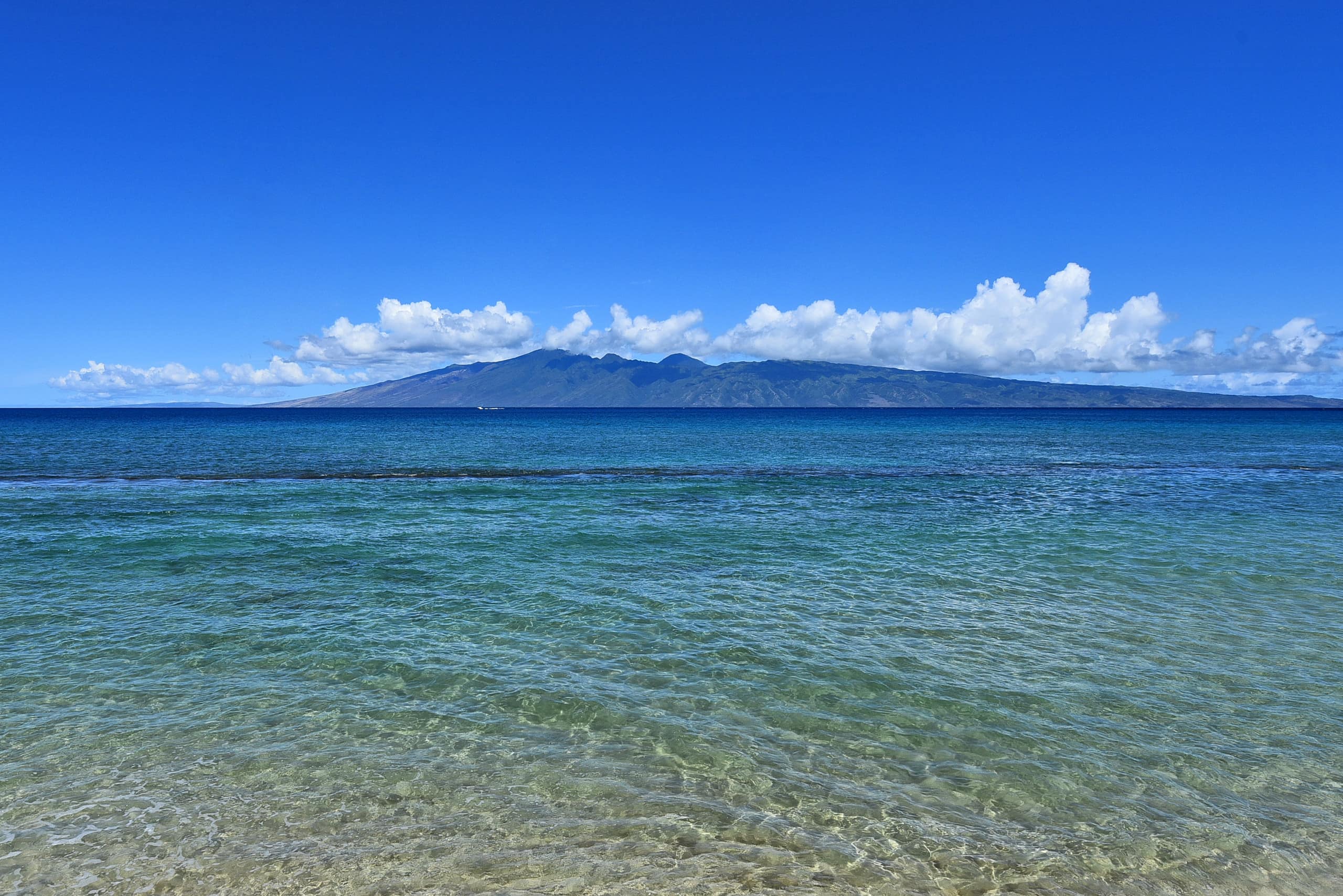 Condo in Lahaina · ★4.97 · 1 bedroom · 2 beds · 1 bath - Image 52