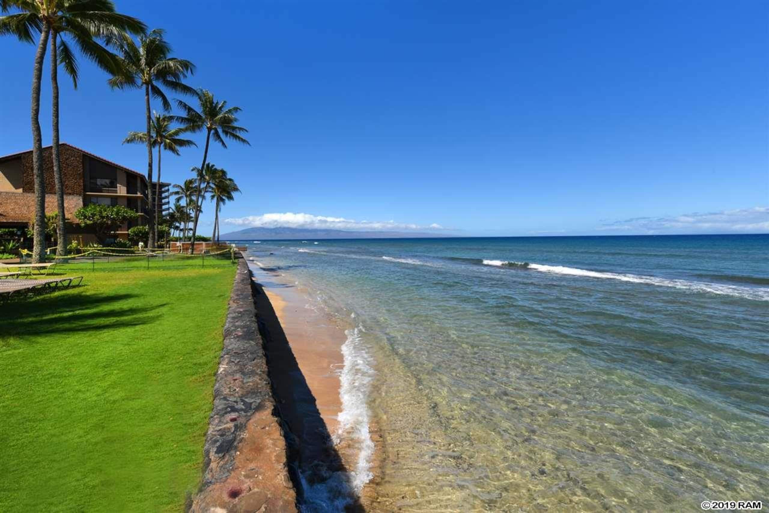 Condo in Lahaina · ★4.97 · 1 bedroom · 2 beds · 1 bath - Image 46