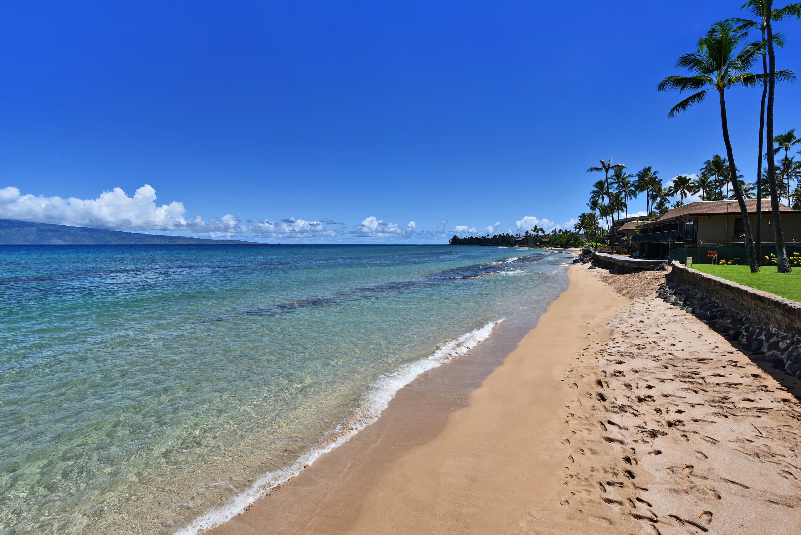 Condo in Lahaina · ★4.97 · 1 bedroom · 2 beds · 1 bath - Image 55