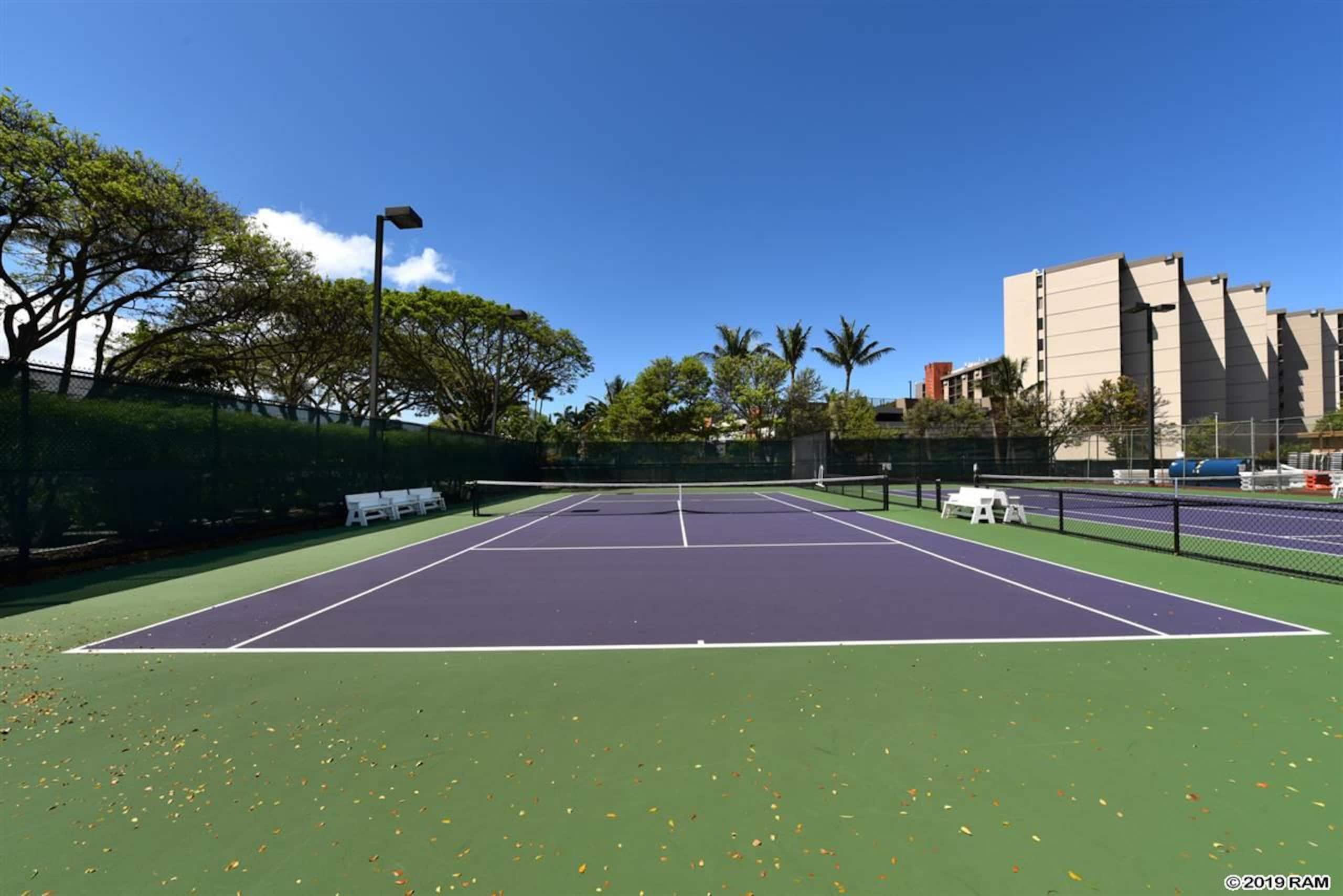 Condo in Lahaina · ★4.97 · 1 bedroom · 2 beds · 1 bath - Image 42