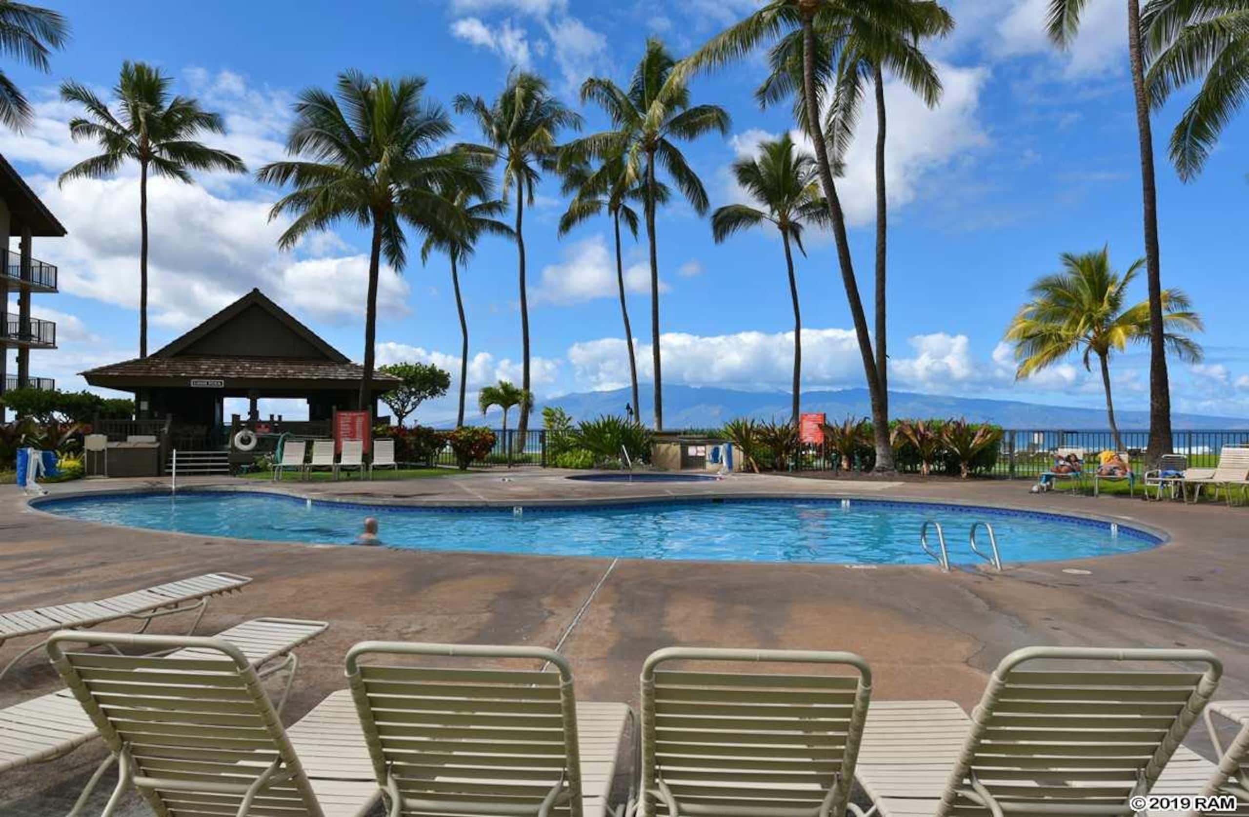 Condo in Lahaina · ★4.97 · 1 bedroom · 2 beds · 1 bath - Image 45