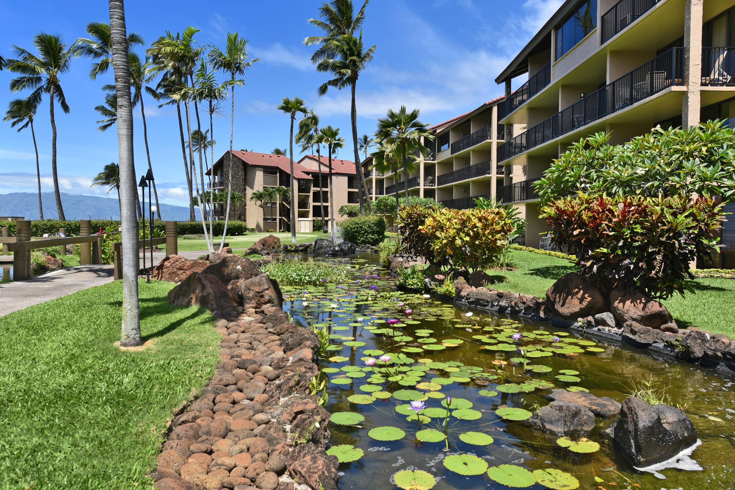 Condo in Lahaina · ★4.97 · 1 bedroom · 2 beds · 1 bath - Image 81