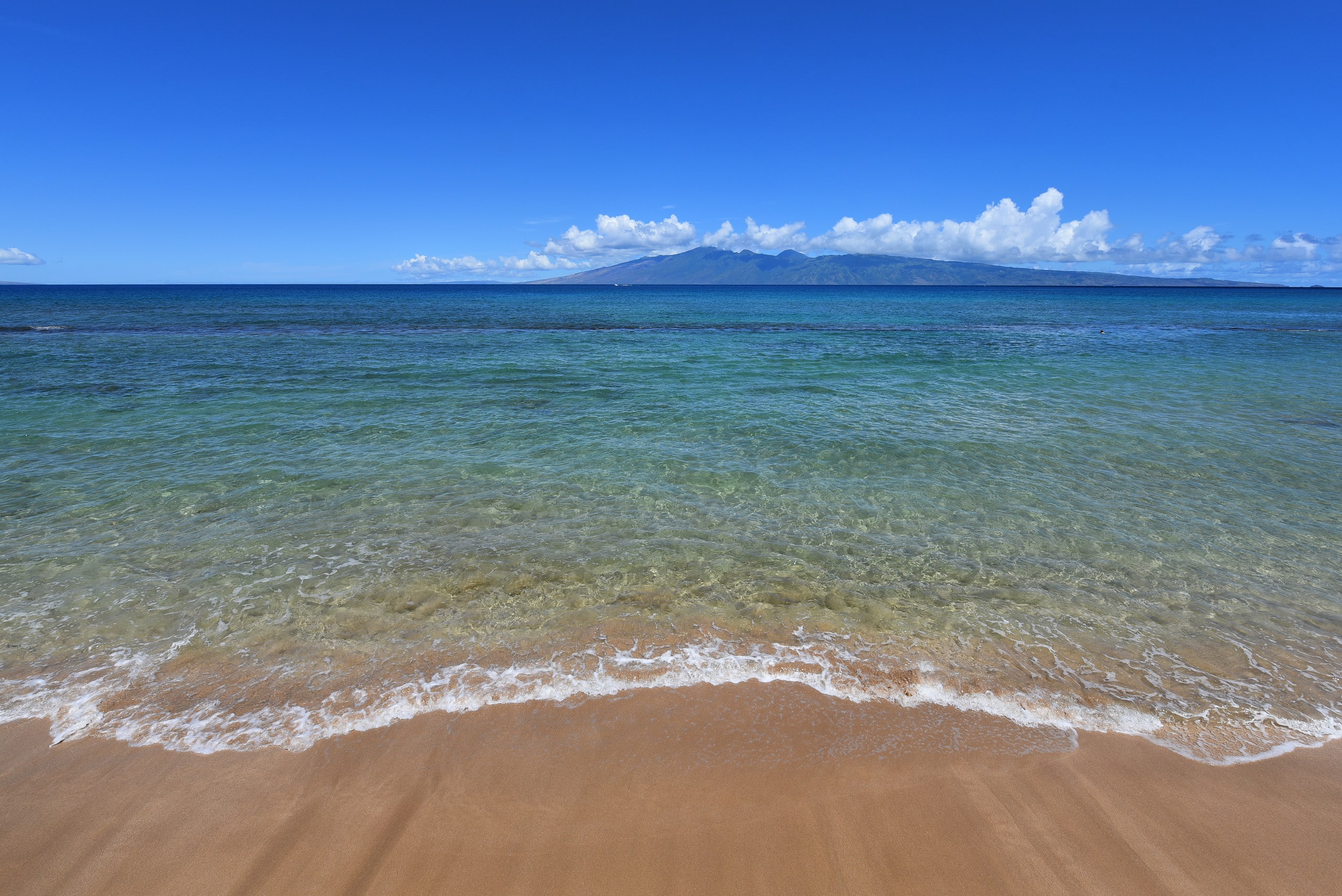 Condo in Lahaina · ★4.97 · 1 bedroom · 2 beds · 1 bath - Image 89