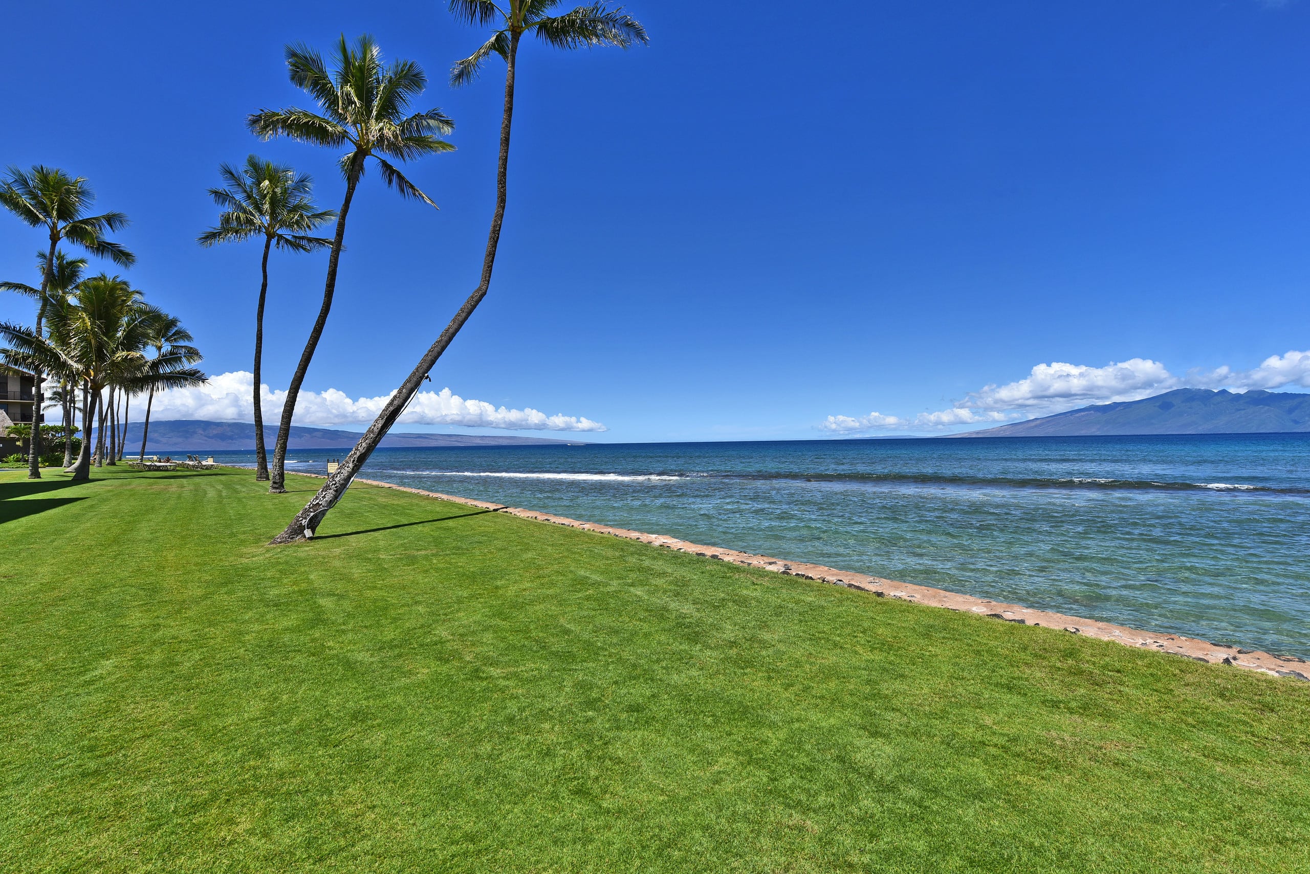 Condo in Lahaina · ★4.97 · 1 bedroom · 2 beds · 1 bath - Image 83