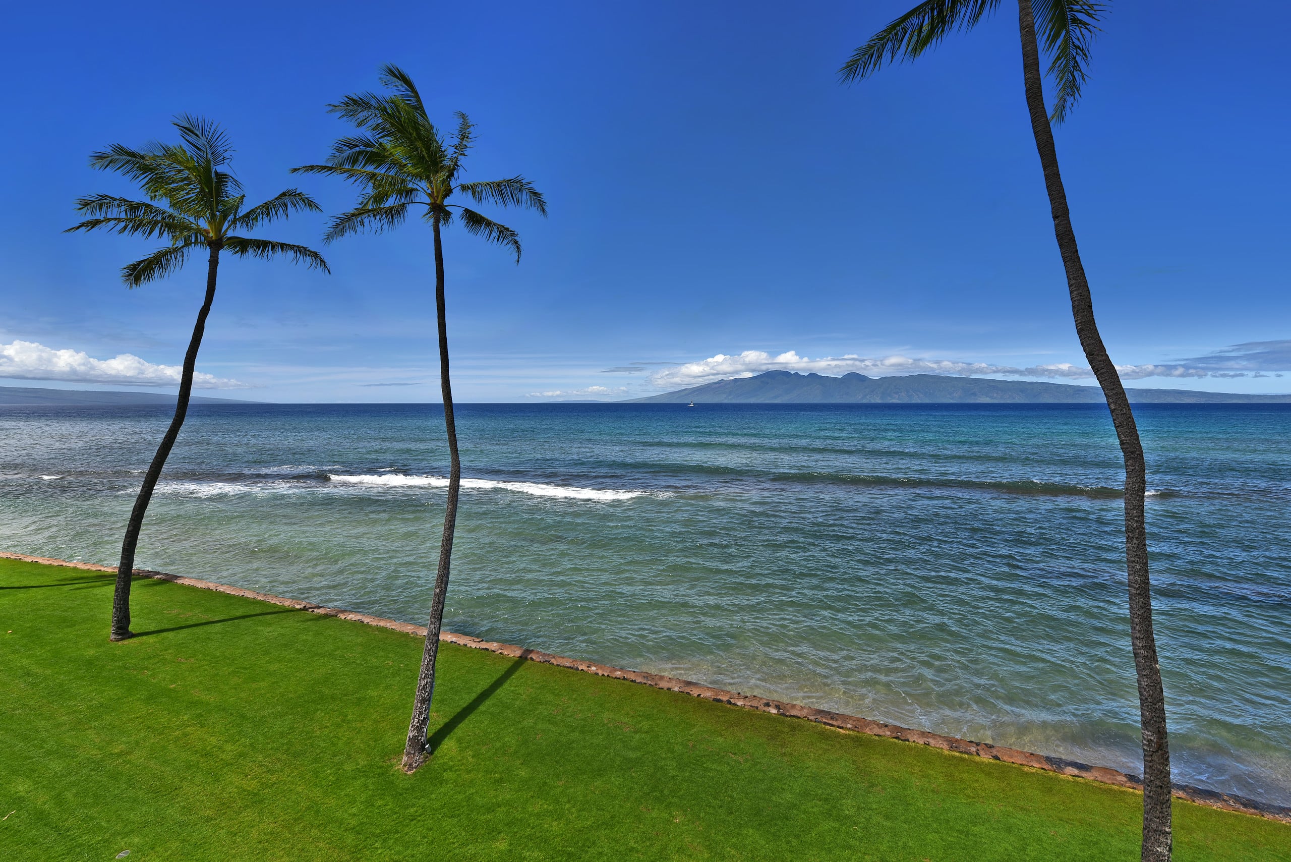 Condo in Lahaina · ★4.97 · 1 bedroom · 2 beds · 1 bath - Image 79
