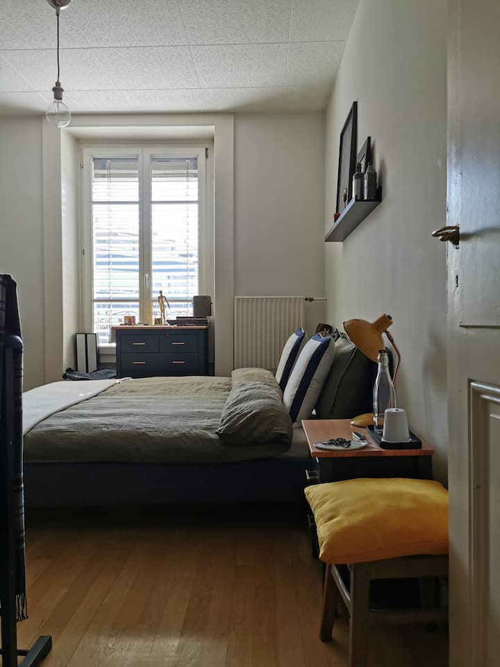 Apartment & Breakfast in the hearth of Geneva. Flats for Rent in