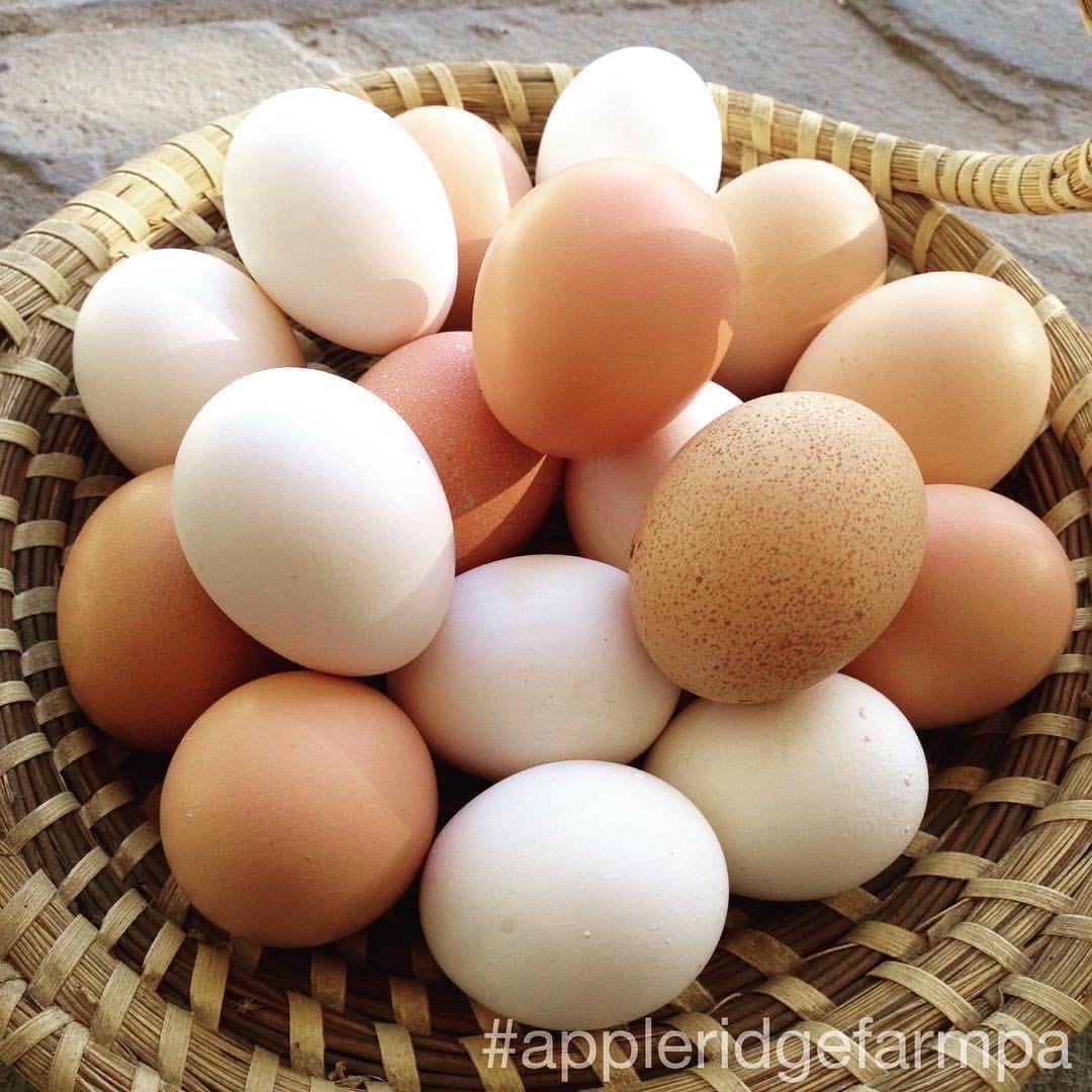 A woven basket is filled with a variety of eggs in different shades, including brown and white. The eggs are arranged closely together, highlighting the natural colors and textures of each. The basket is placed on a textured surface, complementing the farm's organic aesthetic.