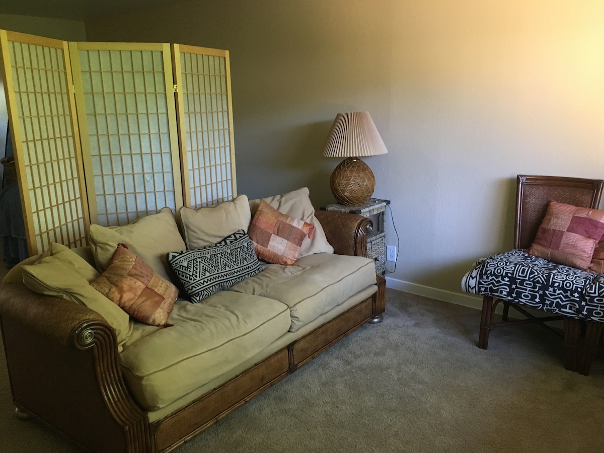 Dnevni boravak s vrlo udobnim kaučem. 