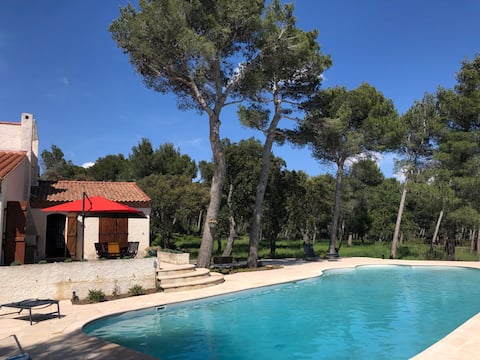 Nature-focused villa amid cicadas