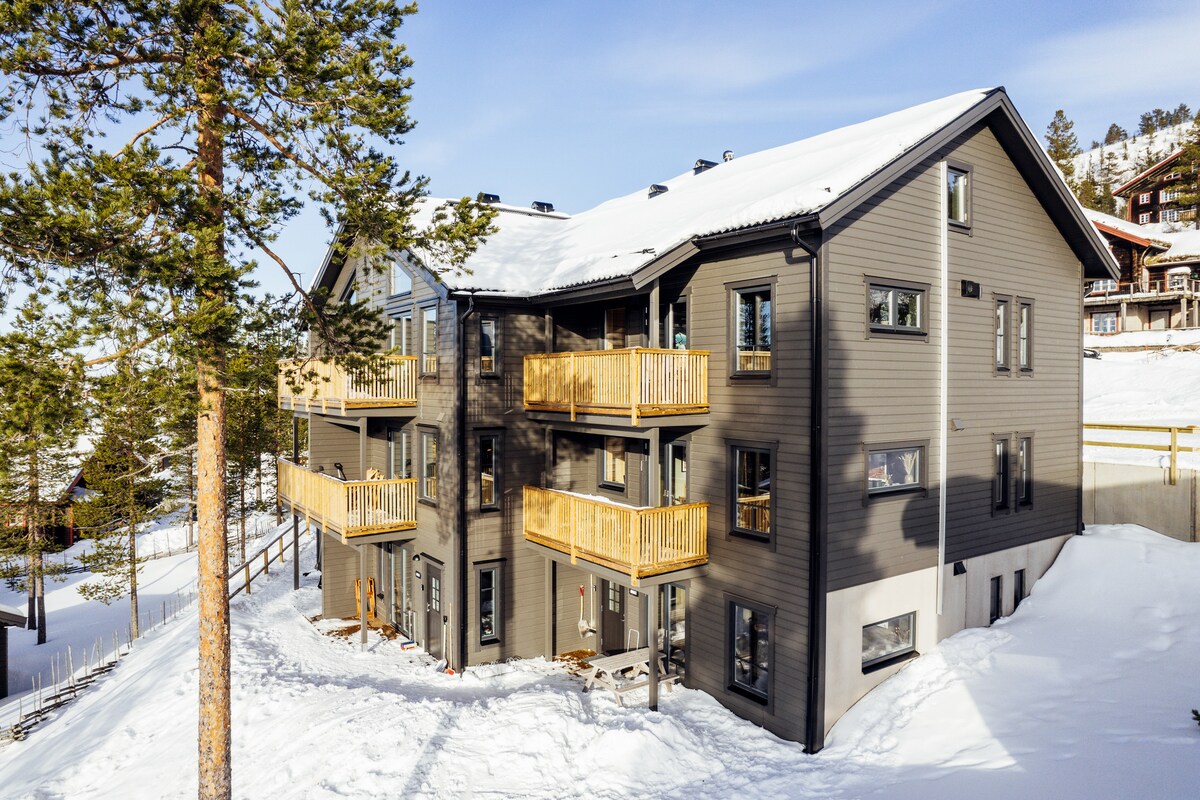 The modern building features a dark exterior with light wooden balconies, surrounded by snow-covered ground. Large windows provide ample natural light. The two-story structure is set against a backdrop of pine trees, enhancing its winter landscape.