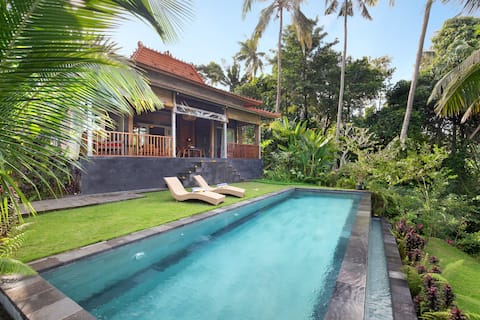 Villa with rice field view 20 min from Canggu
