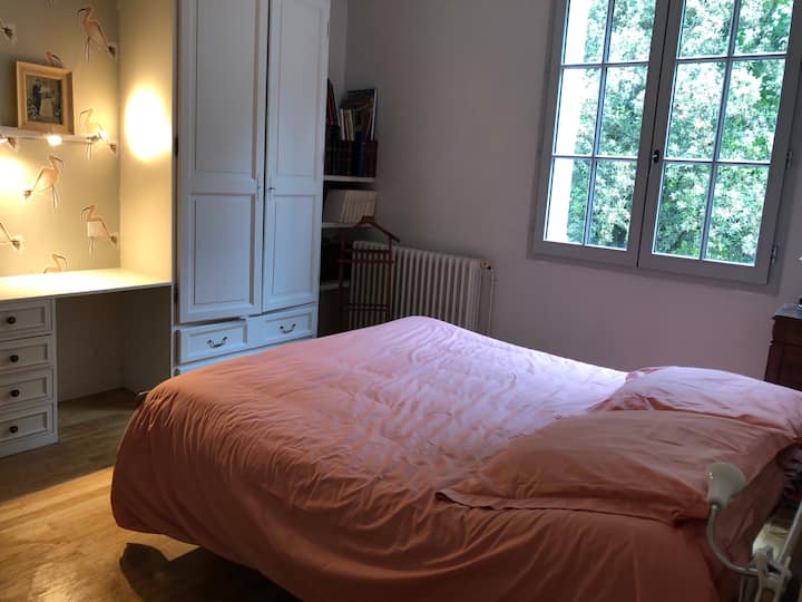 ห้องพิงค์เฟลมิช