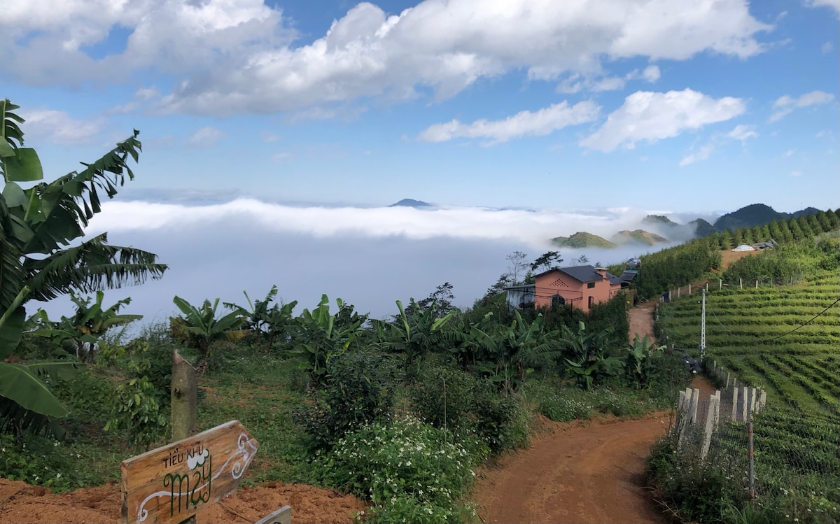 A scenic view captures rolling hills blanketed in mist, with a vibrant green landscape in the foreground. A dirt path meanders through lush vegetation, leading to a distant cottage nestled among the hills. The sky is bright, dotted with soft clouds.