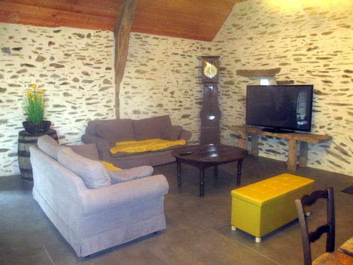 Grande Maison 14 Pers, Salle De Jeux, Parc Clos 3* - Auvergne