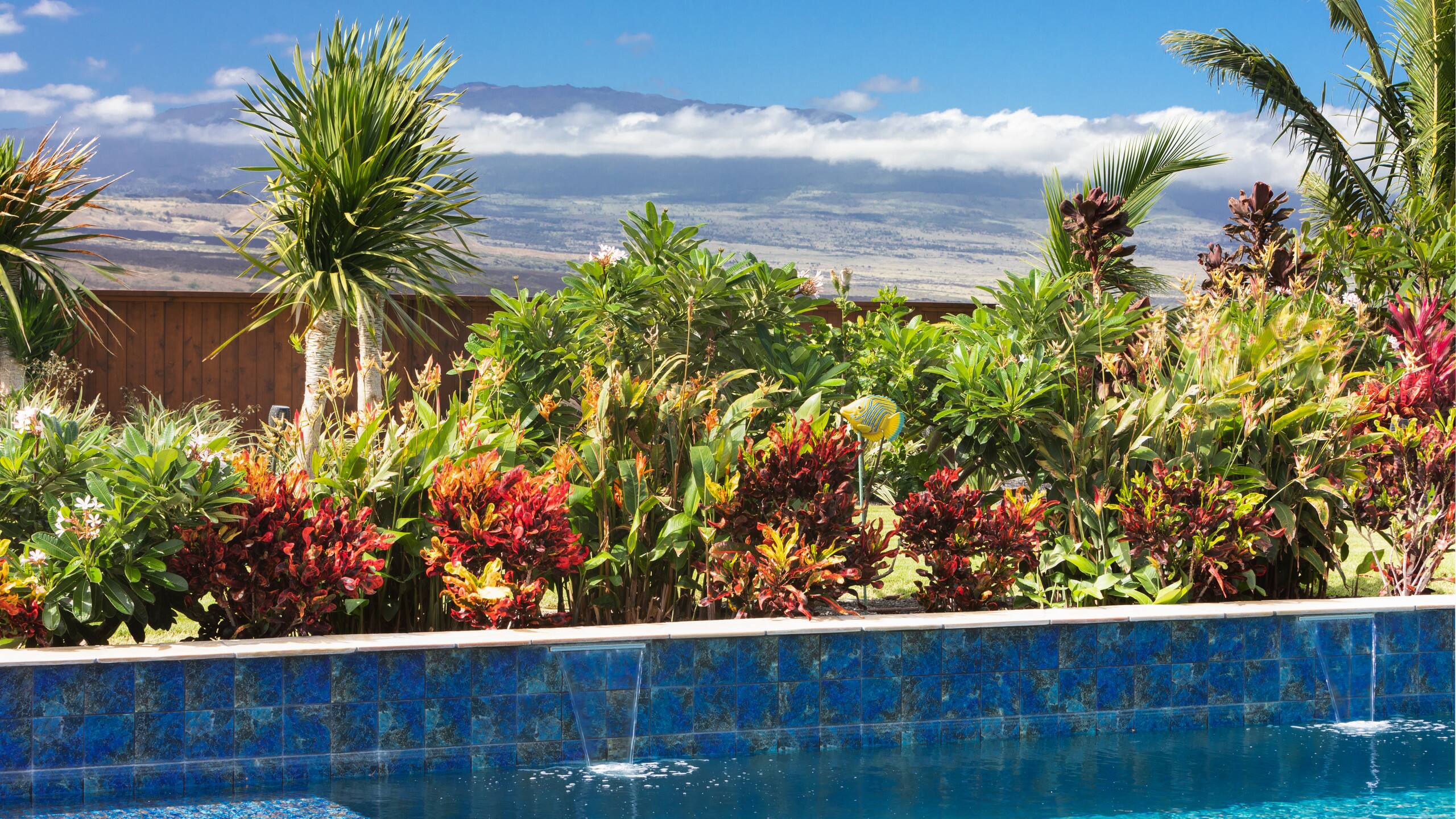 PiH Island Seabatical -Private Pool-Hilton Passes - Photo 61