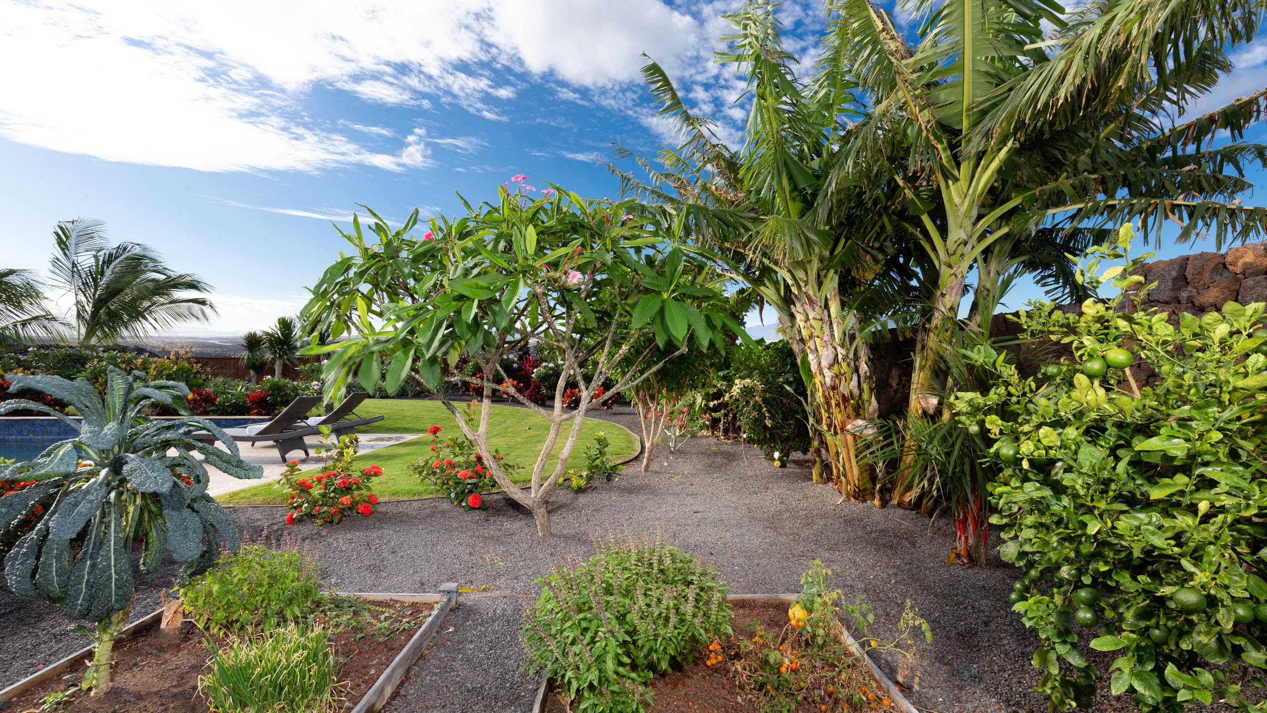 PiH Island Seabatical -Private Pool-Hilton Passes - Photo 27
