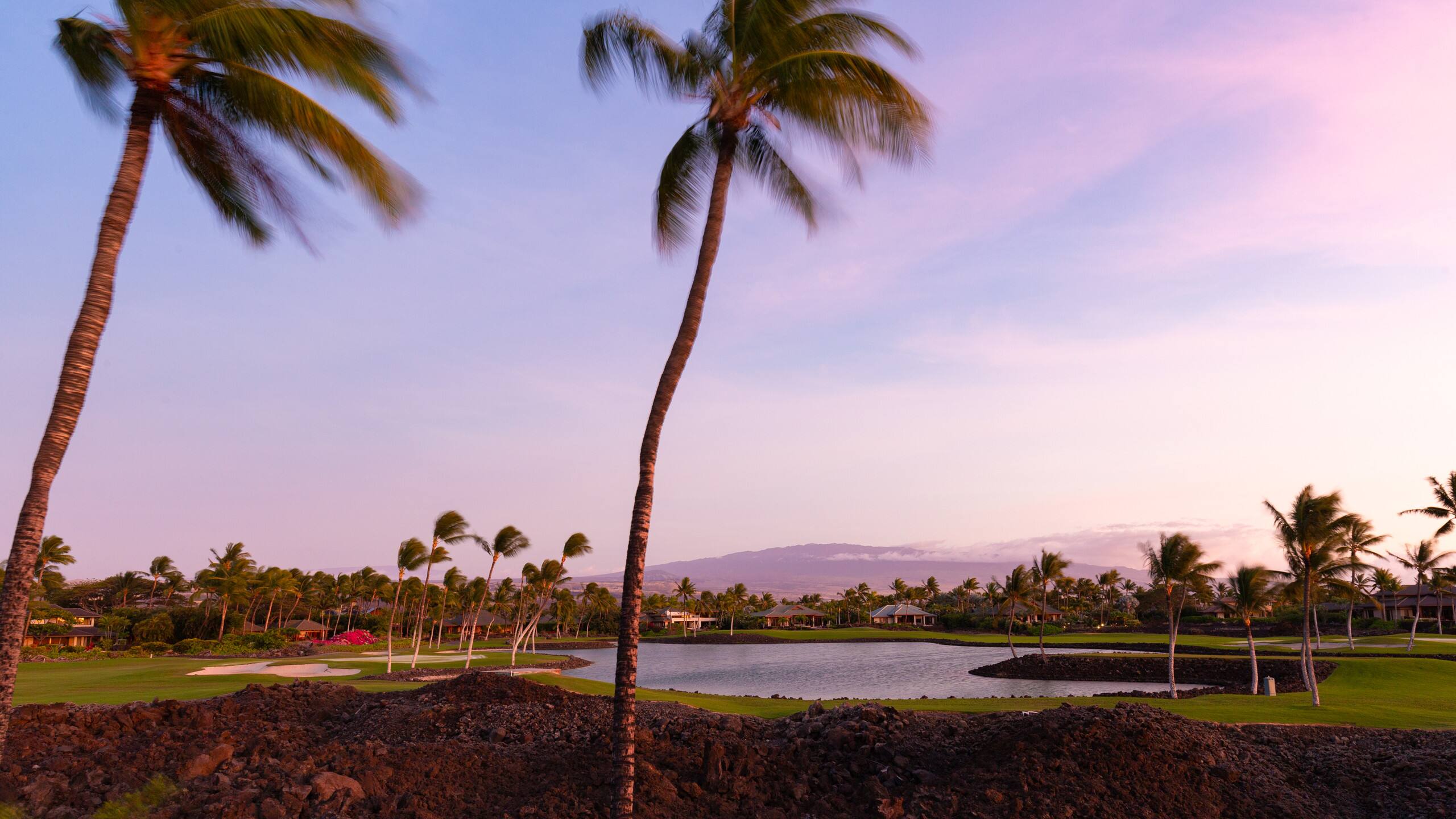 Condo in Waimea · ★4.88 · 2 bedrooms · 4 beds · 2.5 baths - Image 58