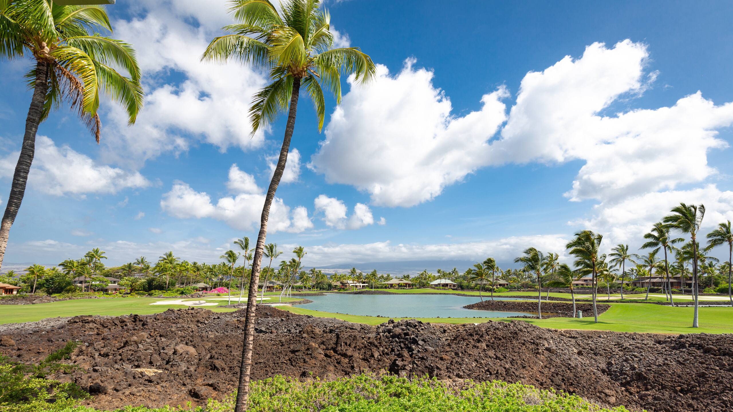 Condo in Waimea · ★4.88 · 2 bedrooms · 4 beds · 2.5 baths - Image 56