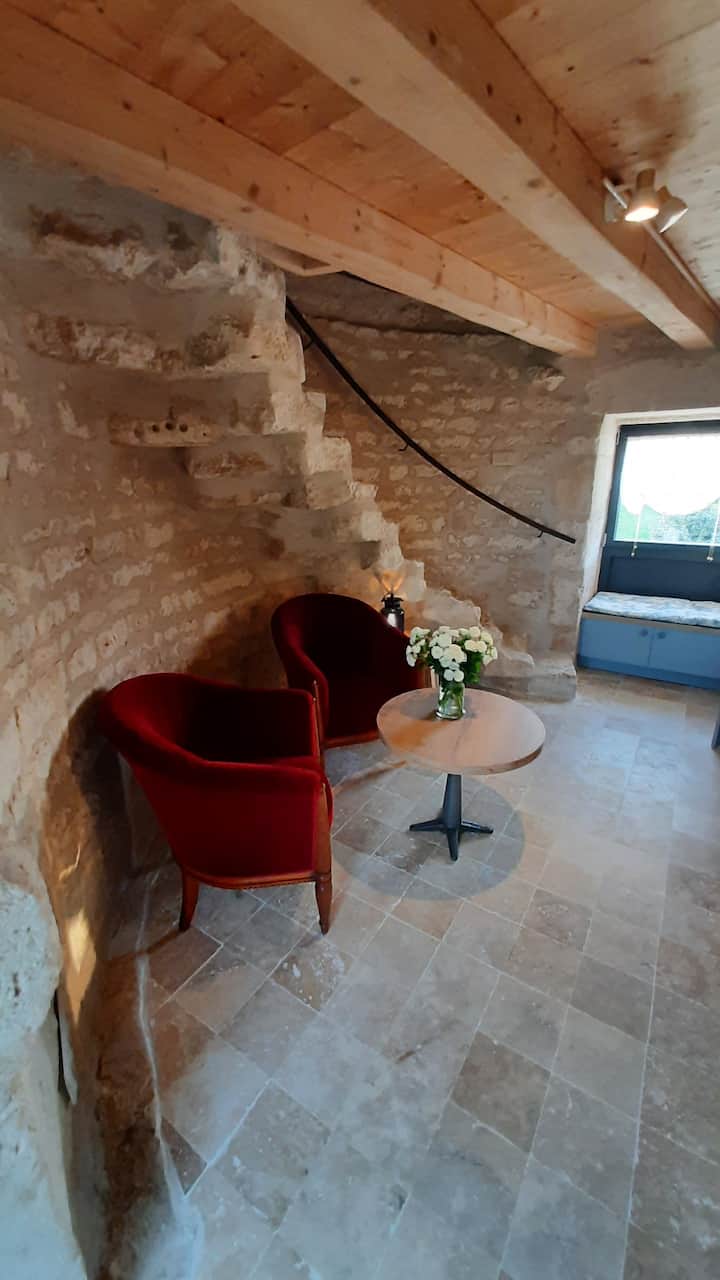 Moulin Juste Restauré Au Cœur Du Marais Poitevin - Vendée