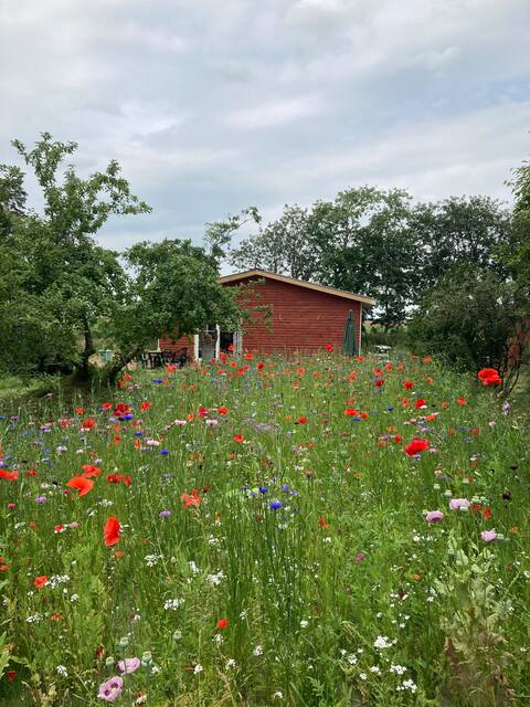 Holiday houses in the marsh