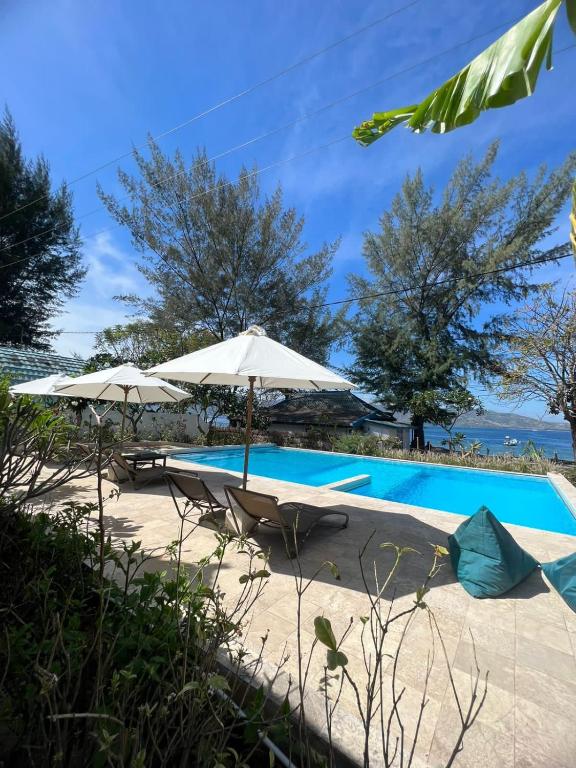 A serene outdoor area features a swimming pool framed by lounge chairs and large umbrellas. Tropical greenery adds a natural touch, while trees provide shade. The backdrop includes glimpses of the ocean beyond the pool, enhanced by clear blue skies.