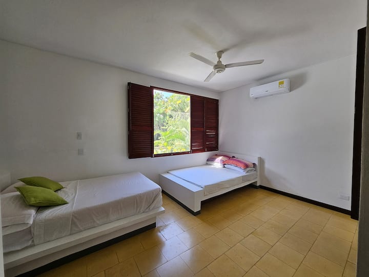 第三个阿尔科巴