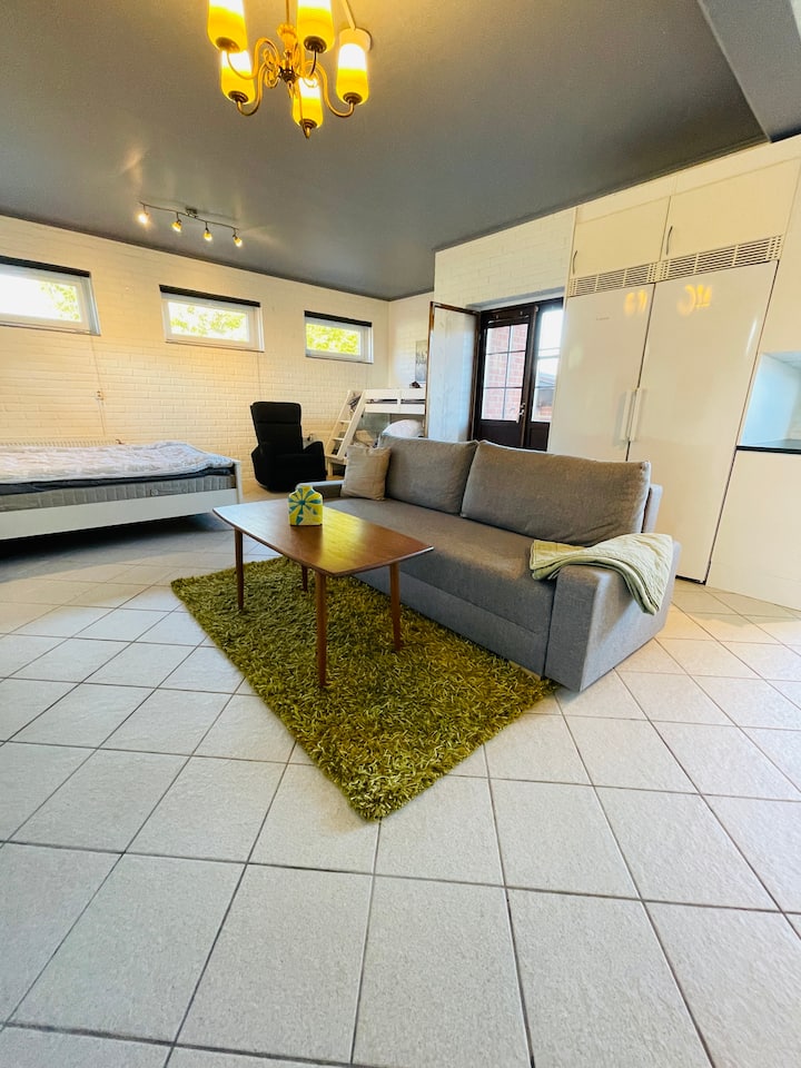 โซฟาแบบเปิดโล่ง