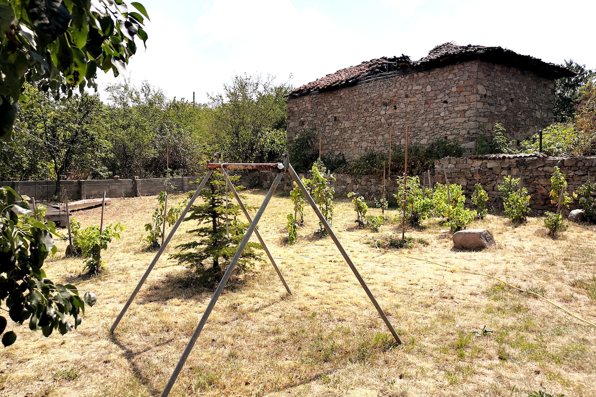 A spacious garden is showcased with a wooden swing set positioned on a grassy area. Surrounding the swing are various small plants, and a stone structure serves as the backdrop, contributing to the rustic ambiance of the space.