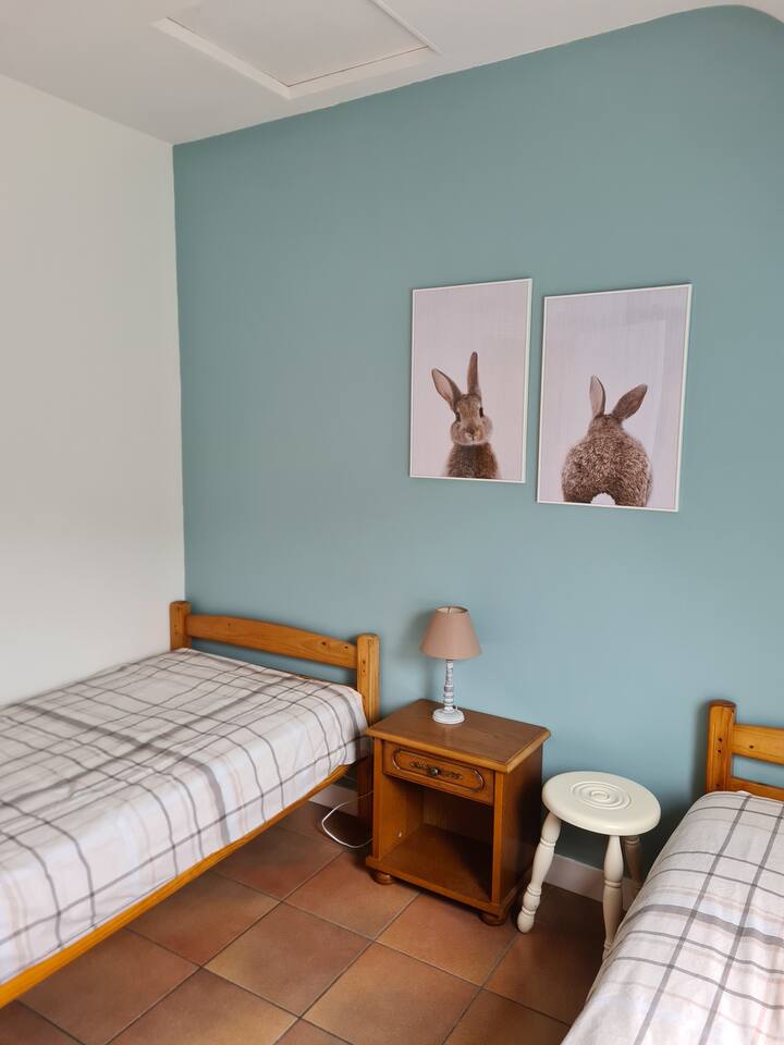 Králik má spoločnosť v spálni s 2 samostatnými lôžkami