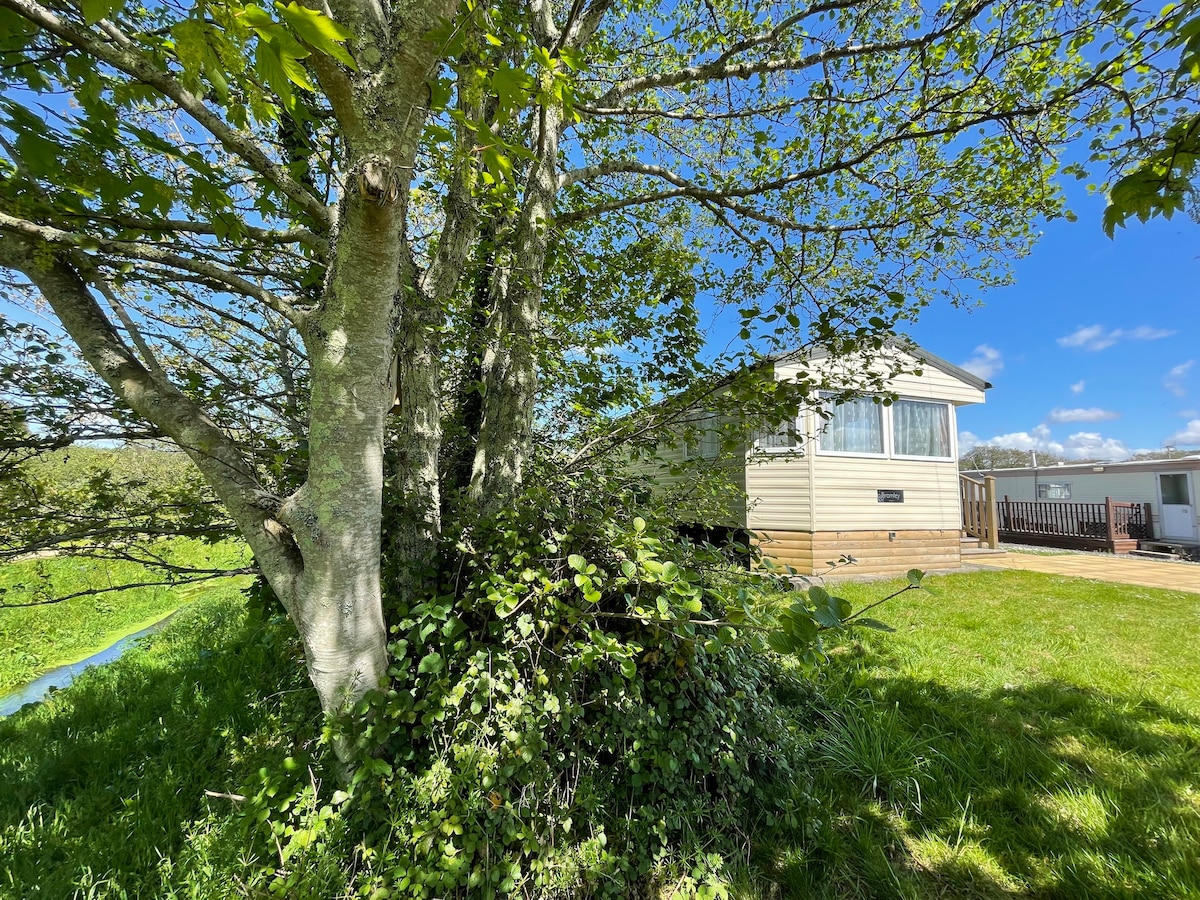A tranquil exterior view of a mobile home, partially shaded by a large tree. Lush green grass surrounds the home, contributing to a serene outdoor setting. Bright blue skies are visible above, offering a calming backdrop to the scene.
