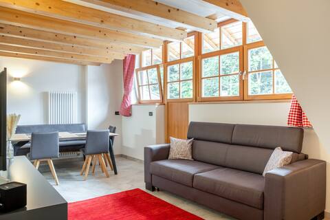 Apart Dolomiti - Your home in the mountains