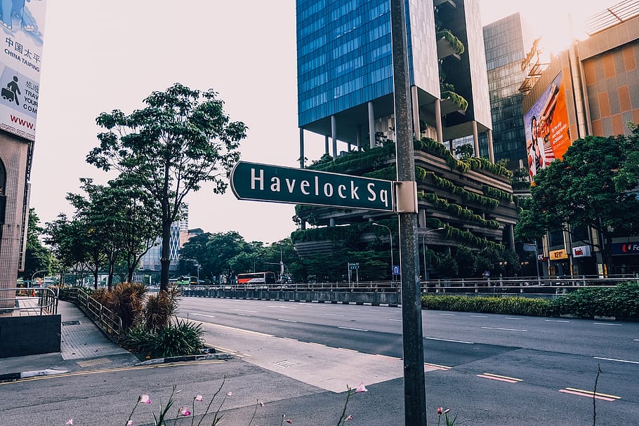 A street view features the Havelock Square sign prominently displayed, surrounded by a mix of greenery and modern buildings. The wide road is seen in the foreground with light traffic, and tall structures in the background add to the urban landscape.